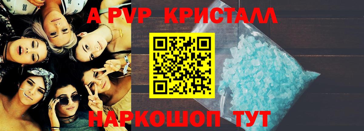 Альфа ПВП СК Тамбов