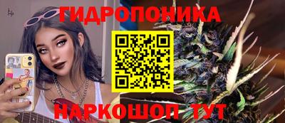 ECSTASY Обь