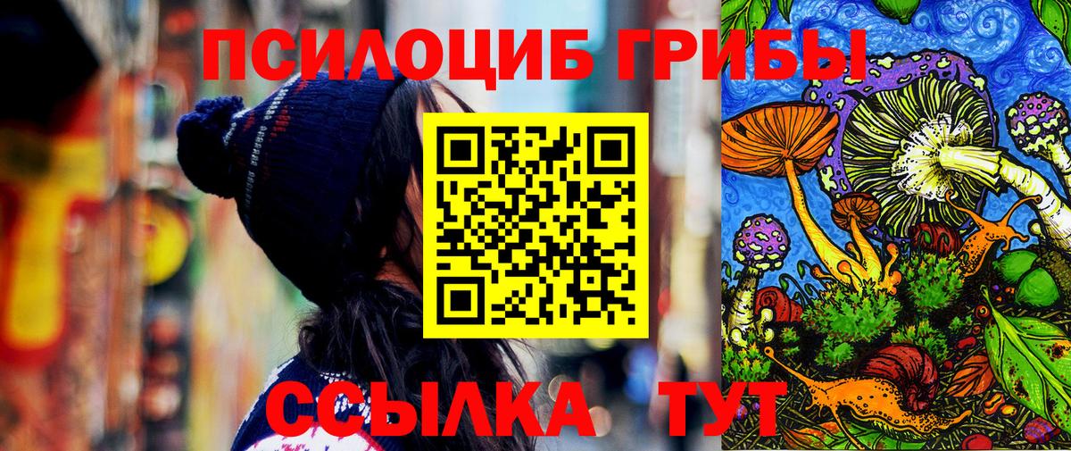 Псилоцибиновые грибы GOLDEN TEACHER Тамбов