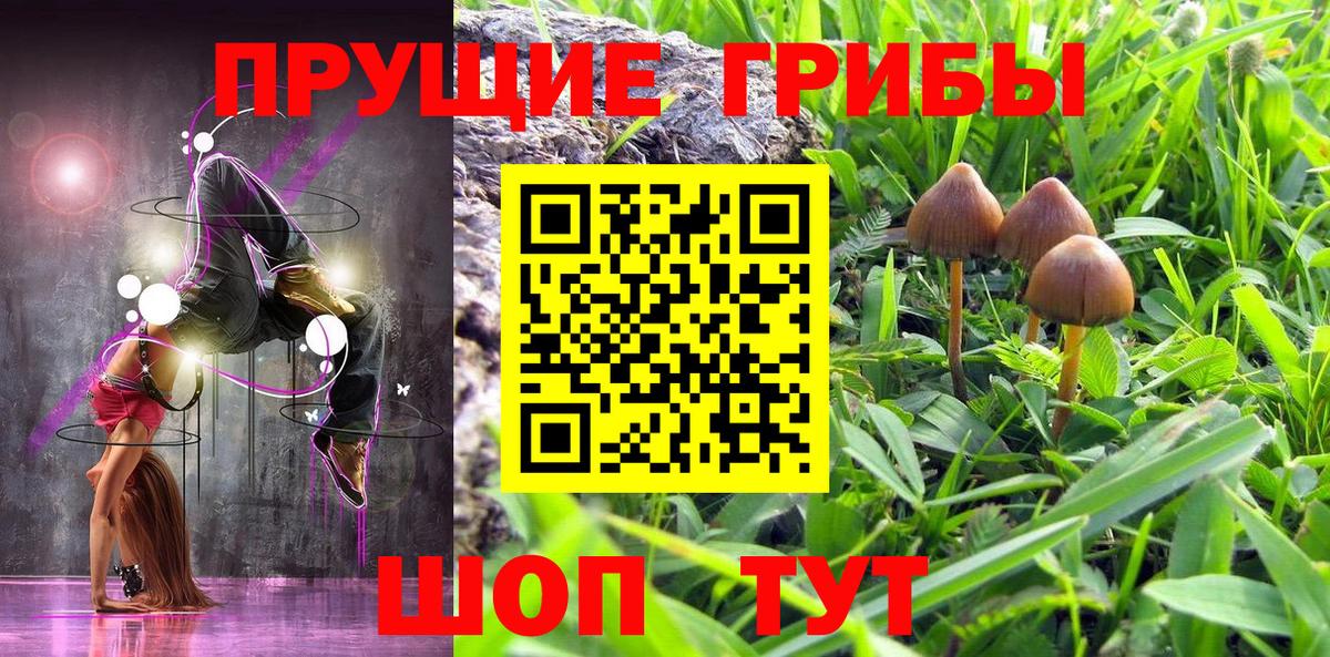 Тамбов  Галлюциногенные грибы Cubensis  Вход с VPN 